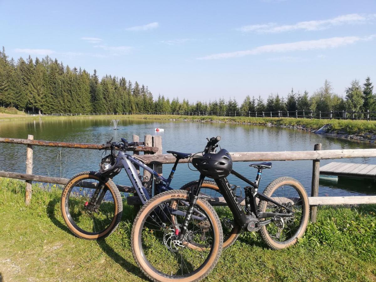 Weixl Schi&Bike Appartements-Bike In&Bike Out Neben Wexl Trails Bikepark Sankt Corona am Wechsel Εξωτερικό φωτογραφία