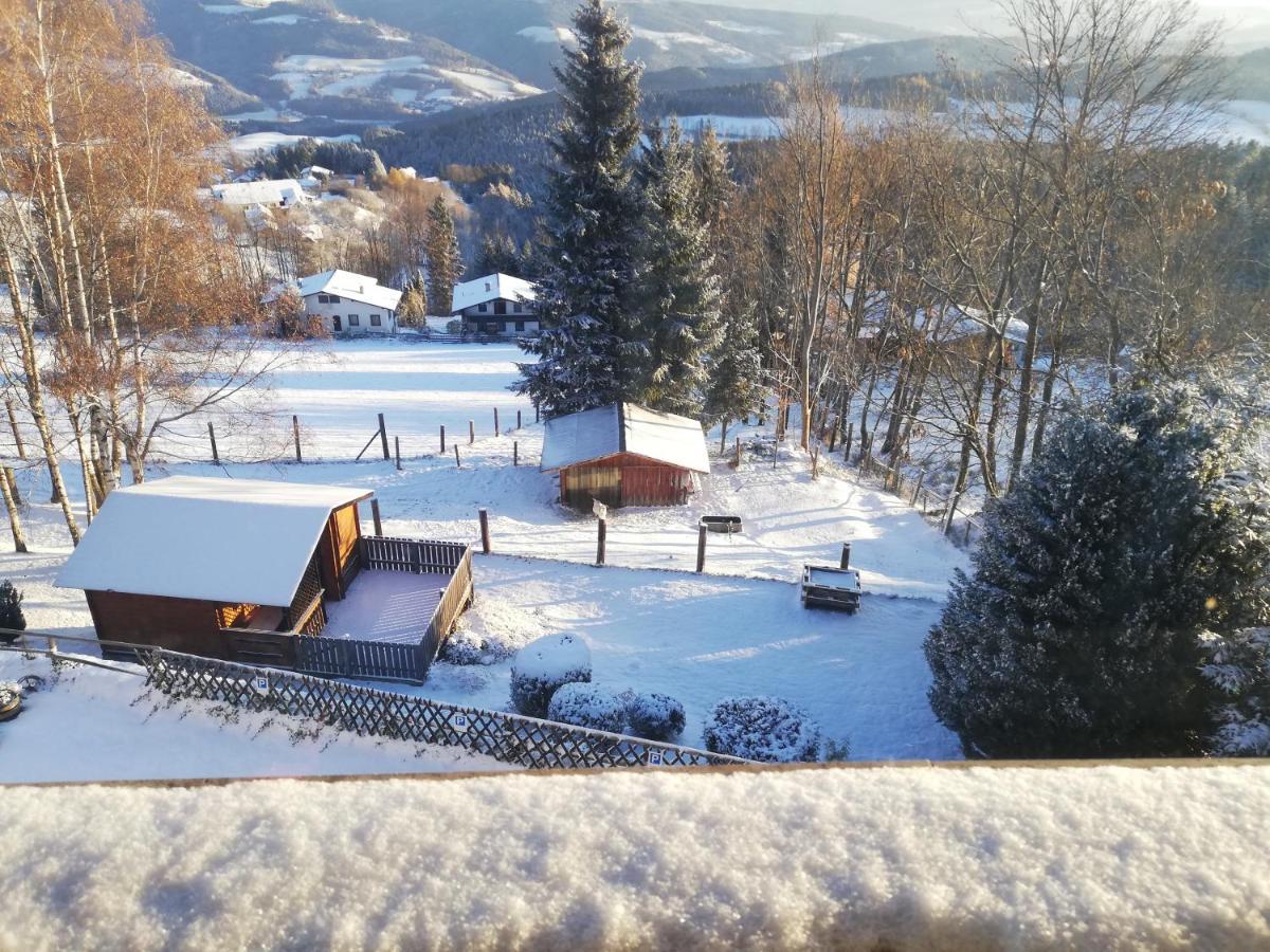 Weixl Schi&Bike Appartements-Bike In&Bike Out Neben Wexl Trails Bikepark Sankt Corona am Wechsel Εξωτερικό φωτογραφία