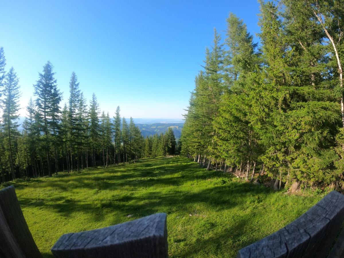 Weixl Schi&Bike Appartements-Bike In&Bike Out Neben Wexl Trails Bikepark Sankt Corona am Wechsel Εξωτερικό φωτογραφία