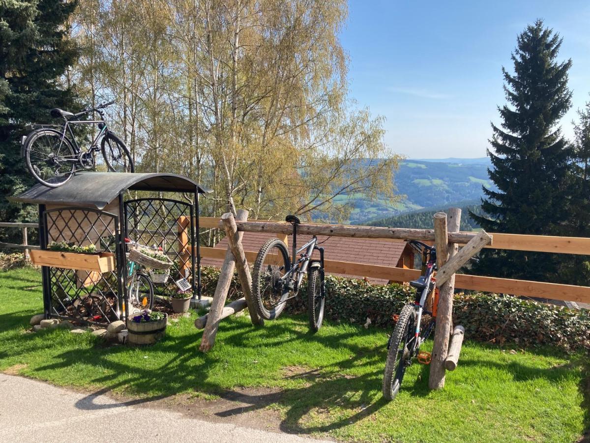 Weixl Schi&Bike Appartements-Bike In&Bike Out Neben Wexl Trails Bikepark Sankt Corona am Wechsel Εξωτερικό φωτογραφία