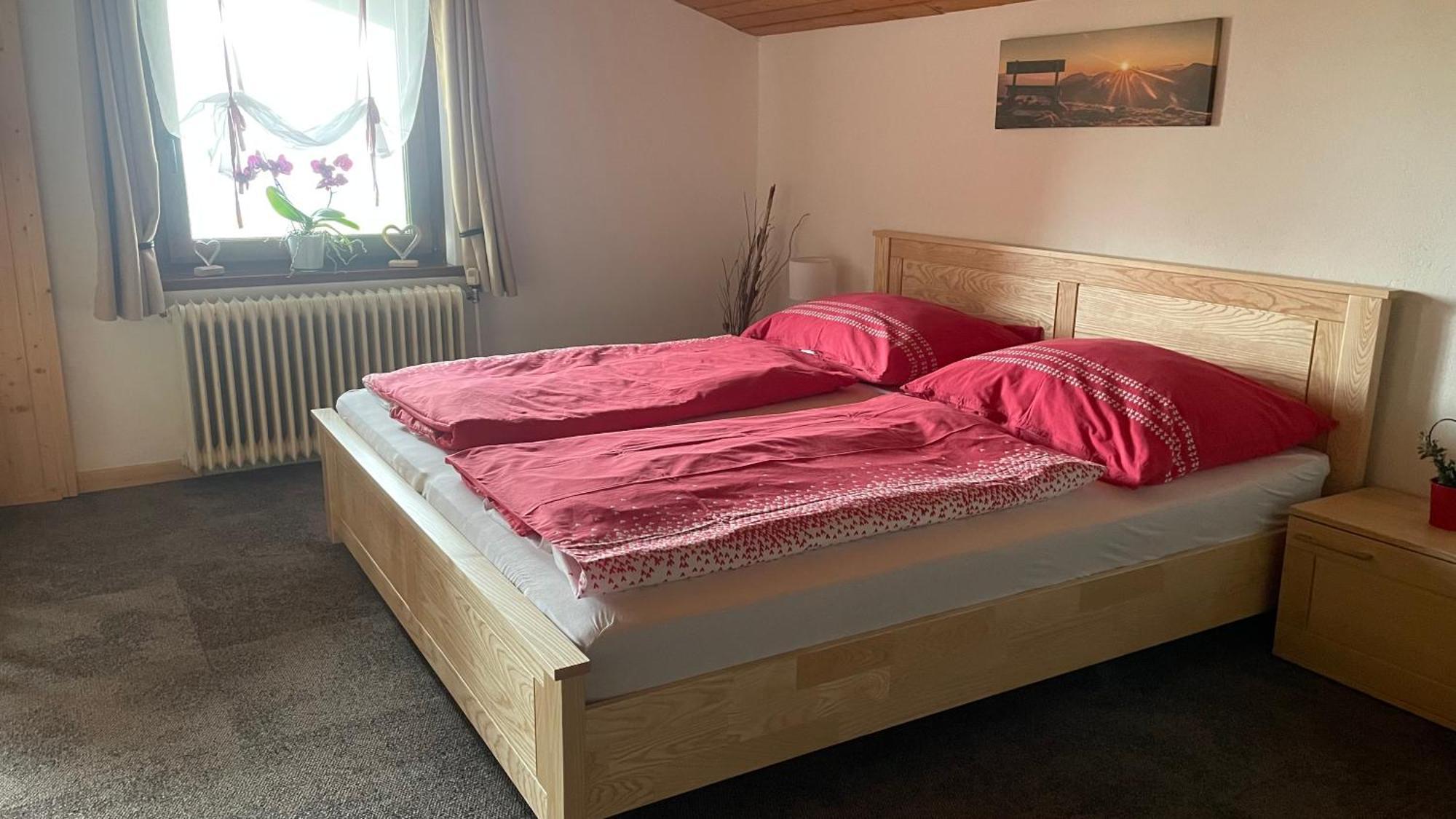 Weixl Schi&Bike Appartements-Bike In&Bike Out Neben Wexl Trails Bikepark Sankt Corona am Wechsel Εξωτερικό φωτογραφία