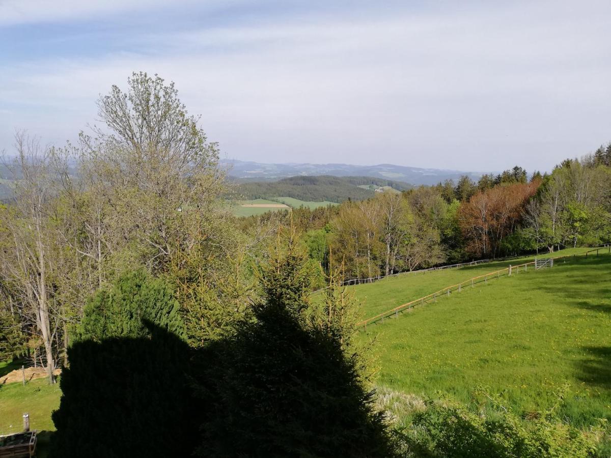 Weixl Schi&Bike Appartements-Bike In&Bike Out Neben Wexl Trails Bikepark Sankt Corona am Wechsel Εξωτερικό φωτογραφία