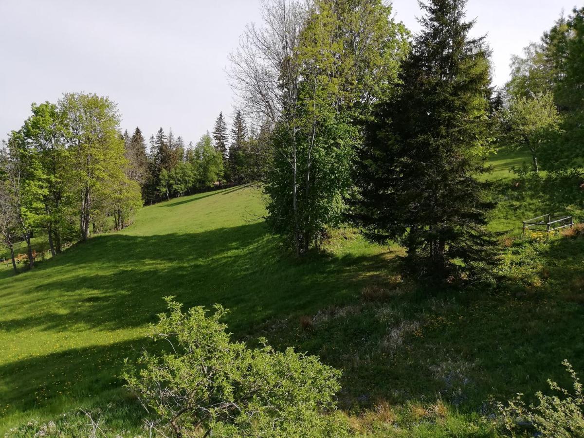 Weixl Schi&Bike Appartements-Bike In&Bike Out Neben Wexl Trails Bikepark Sankt Corona am Wechsel Εξωτερικό φωτογραφία